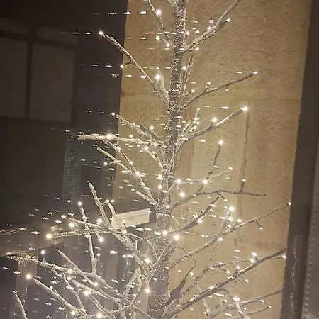 Corazon De Liebana بوت