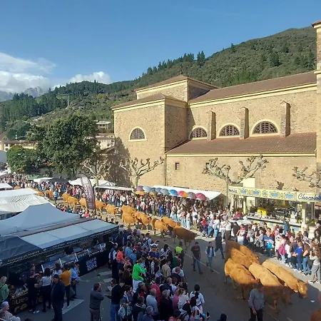 Corazon De Liebana *