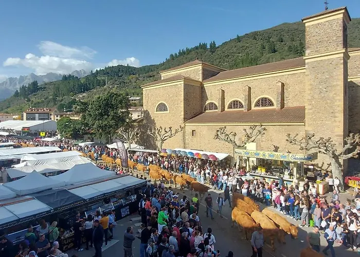 Corazon De Liebana *